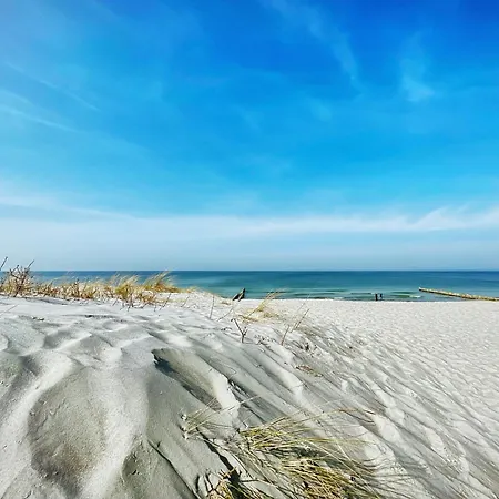 Wiesenblick شقة *